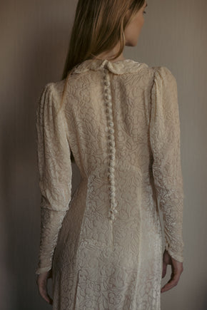 1930s burnout champagne silk velvet gown