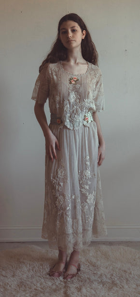 Edwardian mixed lace gown