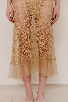 Early 1900s cutwork lace + net gown