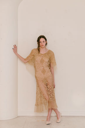 Early 1900s cutwork lace + net gown