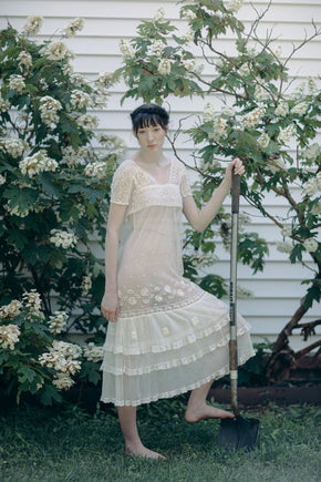 Antique 1920s embroidered french net dress