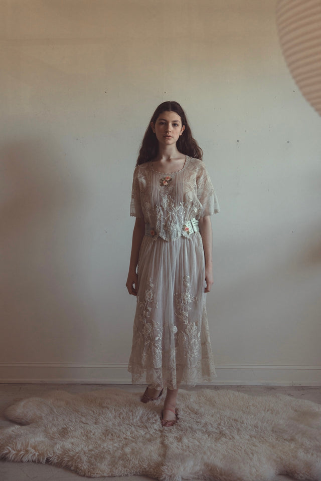 Edwardian mixed lace gown