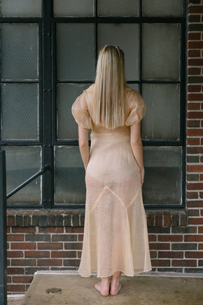 1930s puff sleeve sherbert organza day dress
