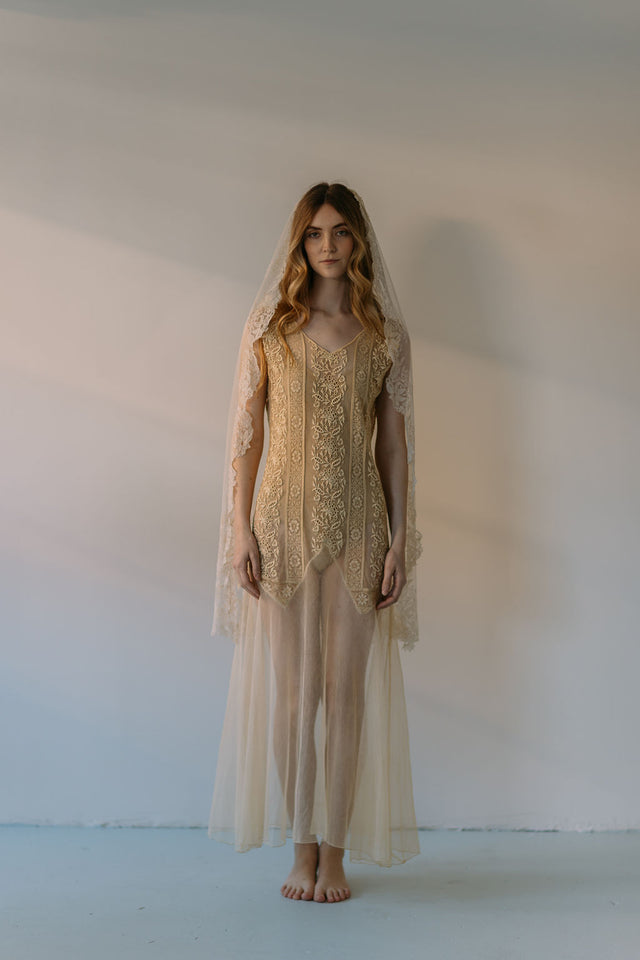 1920s embroidered net gown