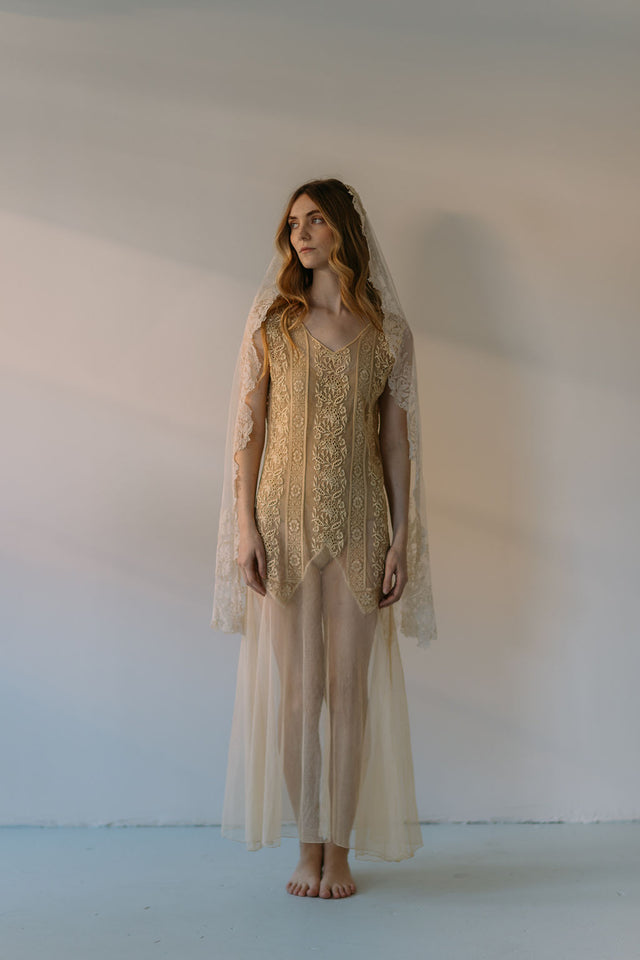 1920s embroidered net gown
