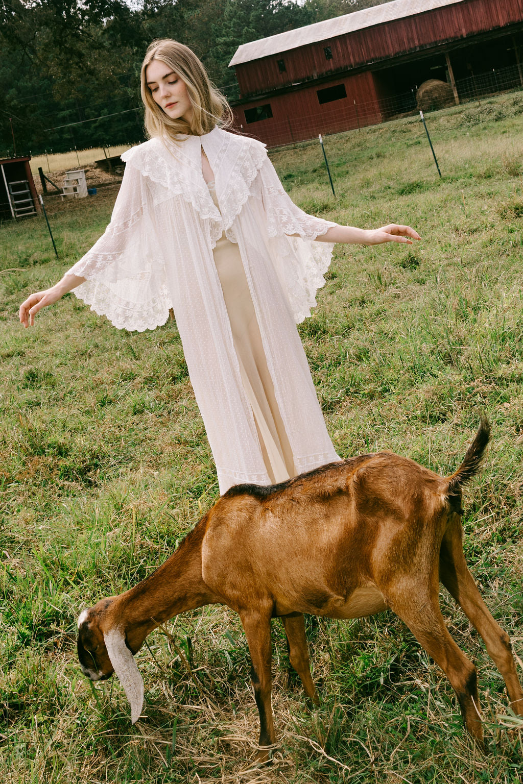 1900s swiss dot angel sleeve lace robe