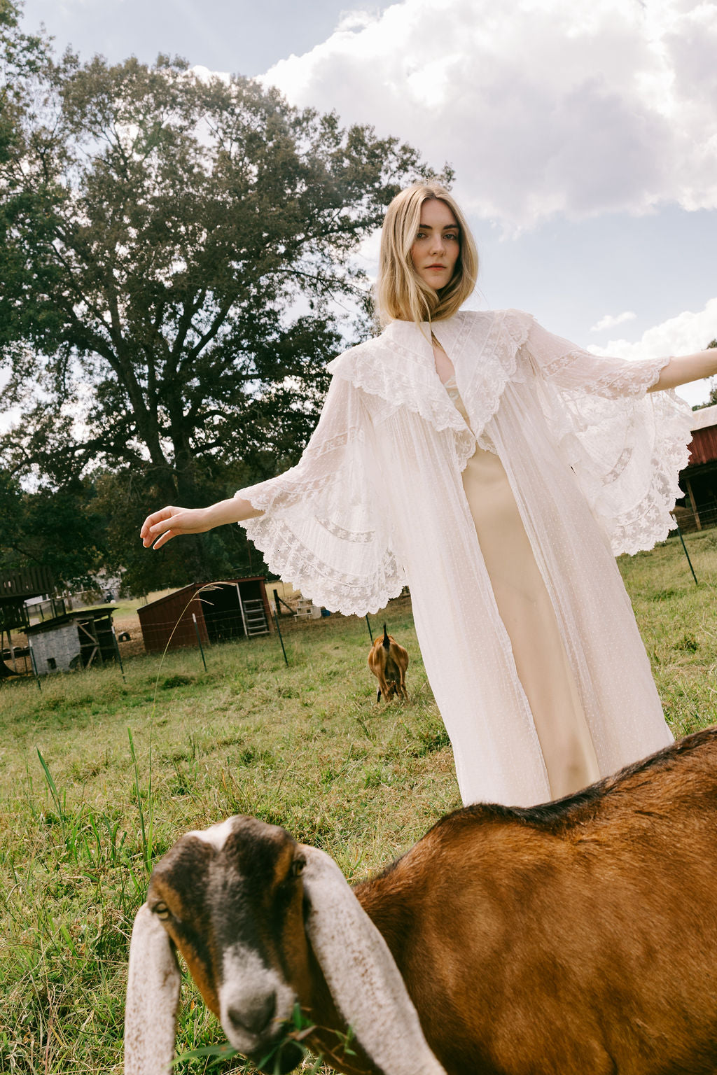 1900s swiss dot angel sleeve lace robe