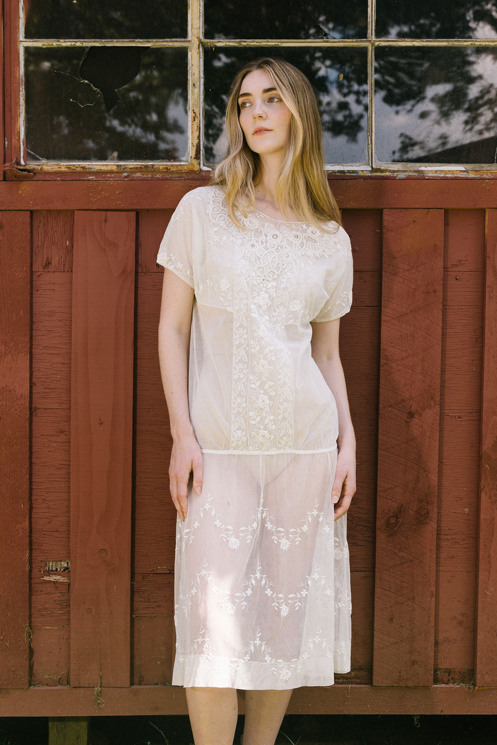 1920s embroiered net filet lace dress