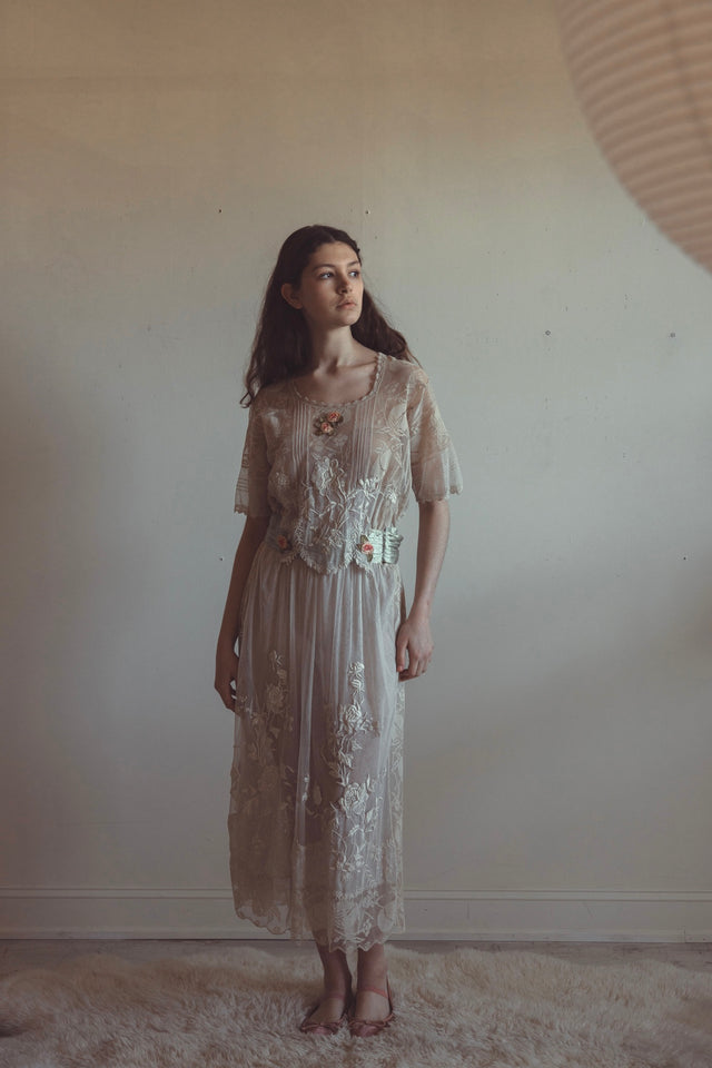 Edwardian mixed lace gown