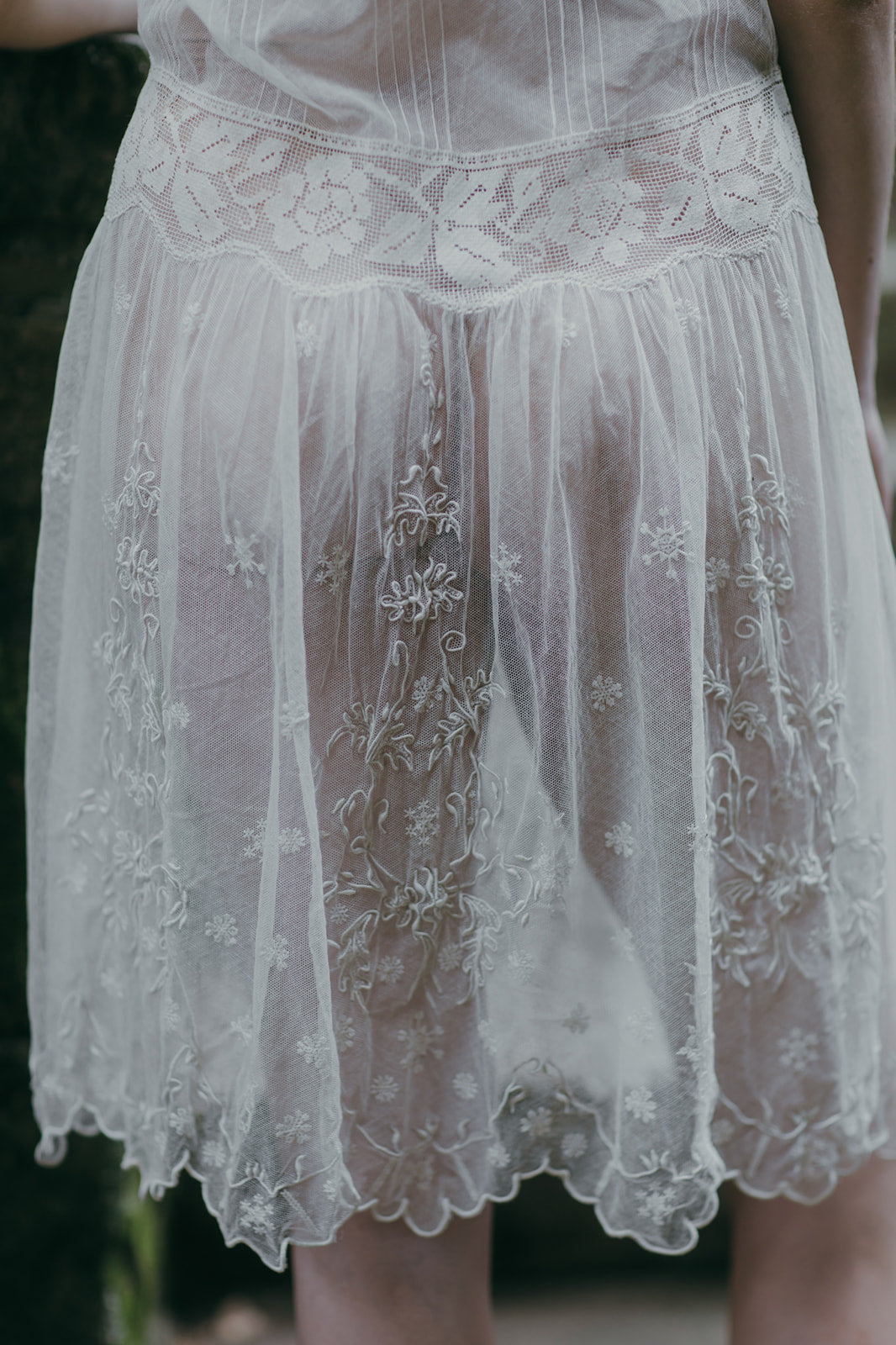 1920s net lace dropwaist dress